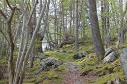 BJØRN KROMANN-ANDERSEN – MælenHardanger
